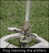 1637626505570