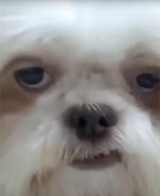 1000009315