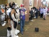 furryconventiongoers2