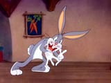 bugs