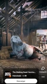 TWD ad