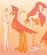 Bird