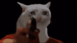 gun-tears