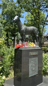 103557