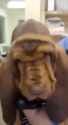 1707753239047589_thumb.jpg