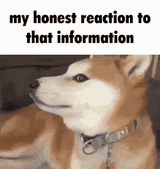1752071034621930