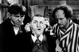 Stooges-with-Curly-highlight-860