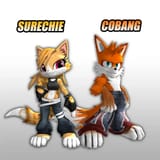 coolfox protags