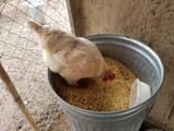 20180226_093106