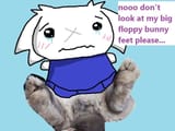 sue feet