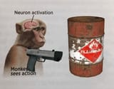 gordon-sees-action-v0-3w5yx6o4vrbf1