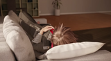 Sleep