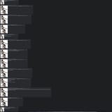 8383838
