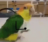 1739279891287029