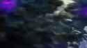 GitS-PS1_thumb.jpg