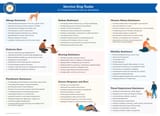 service-dog-tasks-comprehensive-list-by-disability-2