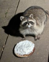 GexHiZkaAAACBou