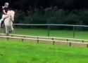 horsing-away_thumb.jpg