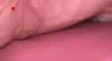 1739872540283149_thumb.jpg