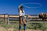 70084043-Cowboy-throwing-lasso-wildwest-Oregon-USA
