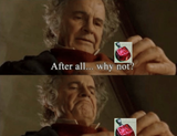 after-all-why-not