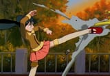 Mei Ling Kick