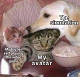 avatar higher self simulation