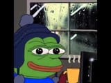 comfy frog