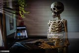 skeletoncomputer