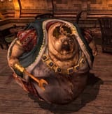 Melvin_Underbelly_2