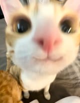 =3