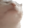 1623117271199