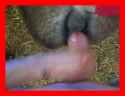 1733840094101_thumb.jpg