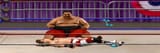yokozuna