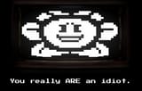 you-are-idiot