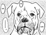 jiro