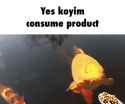 koyim_thumb.jpg