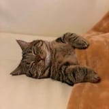 Sleep