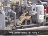 crochanic