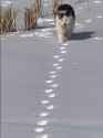 Retracing your steps_thumb.jpg