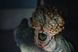 toxohead