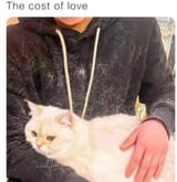 the cost of love