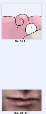 1733123988544021