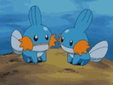 pokemon-mudkip