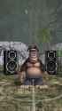 ezgif-10d509db35bb5b_thumb.jpg