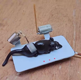videoframe_9087