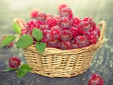 cacoberries