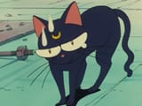 lunamused