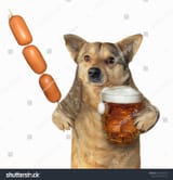 1738851999331304
