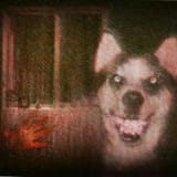 artworks-OOF7aw0s7M8eFMz4-8zehTg-t500x500